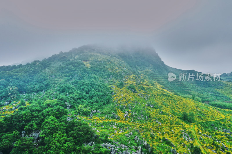 景德镇的高山花园