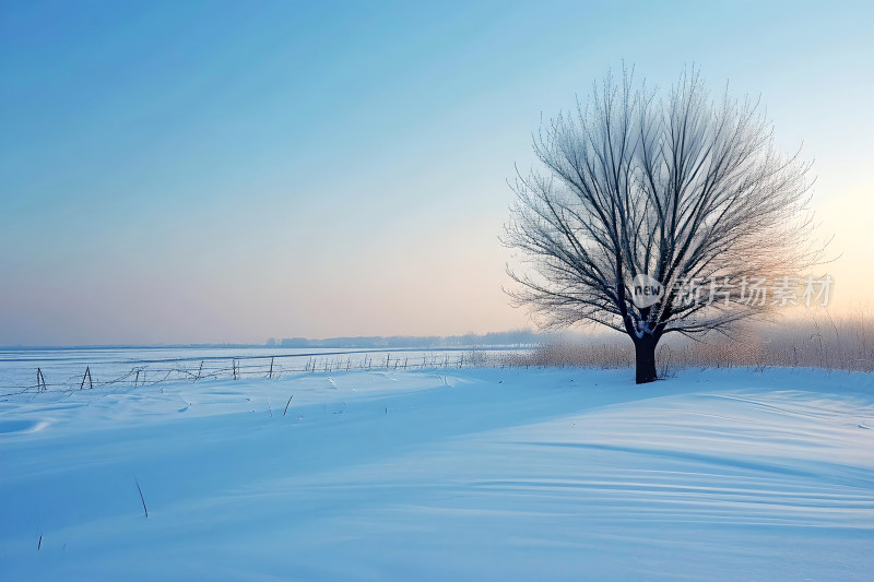 冬天背景大寒雪景壁纸