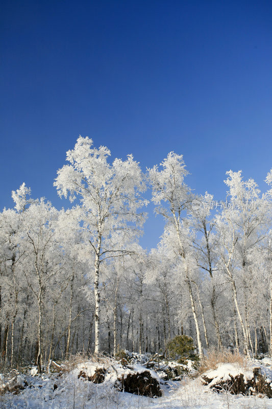 大兴安岭冬季林海雪原冰雪风光