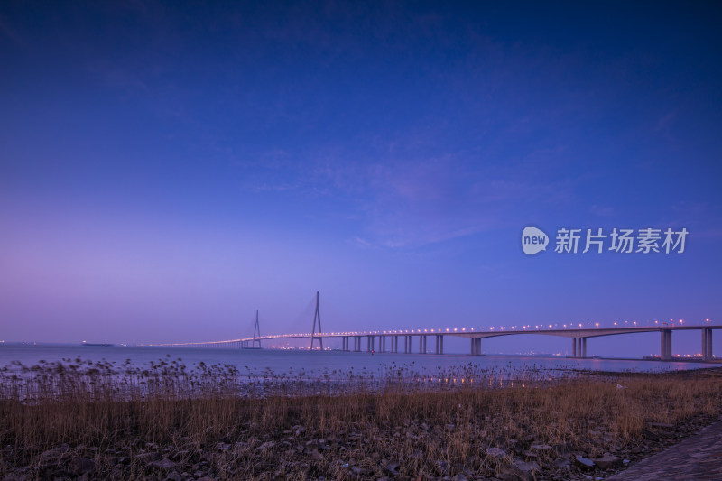 苏通长江大桥