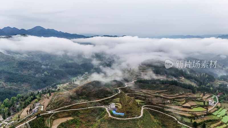 重庆酉阳：青山雾漫别样美