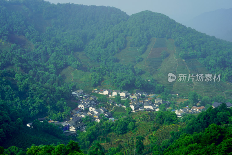 浙江杭州龙井村