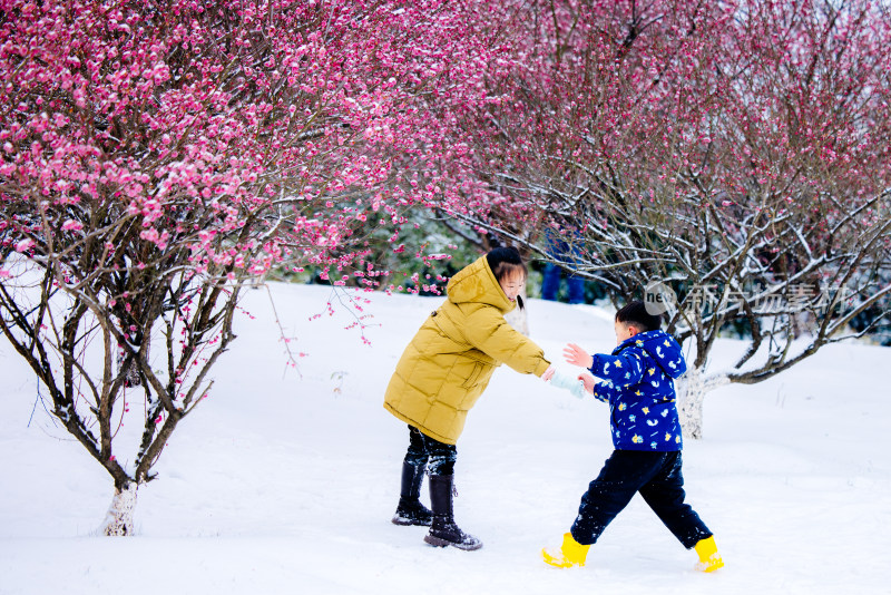 冰雪，冬季，