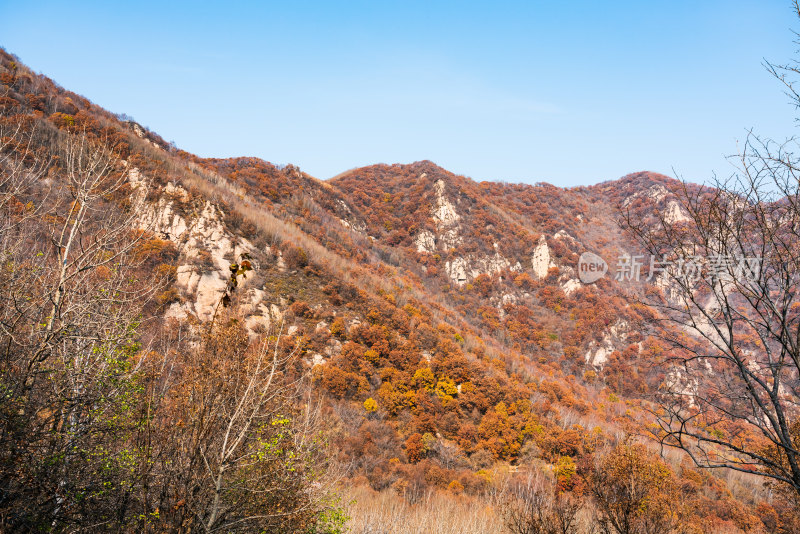 北京喇叭沟门山区秋色