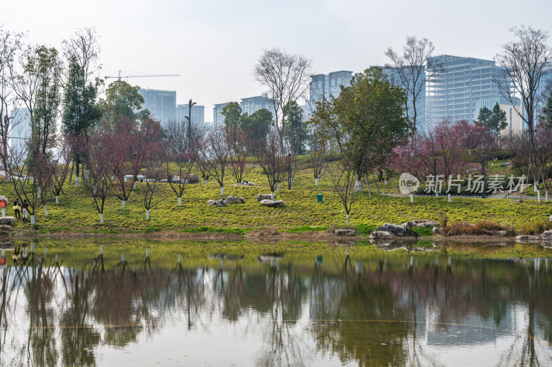 城市公园湖畔风景