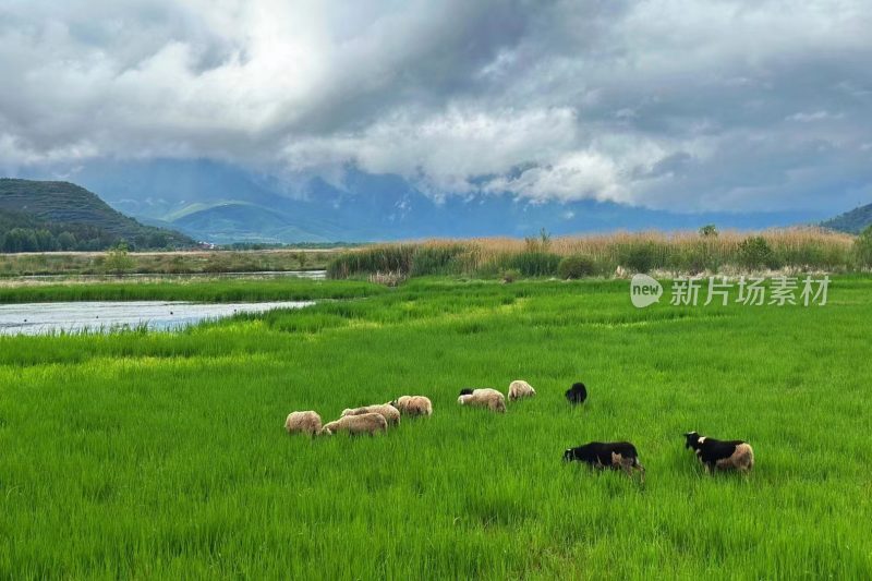 云南宁蒗泸沽湖美景