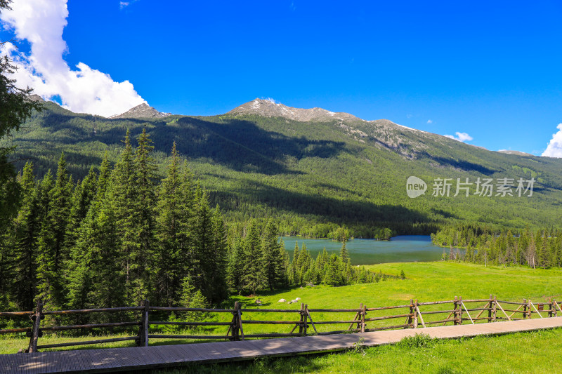 新疆阿勒泰地区喀纳斯森林草原自然风景