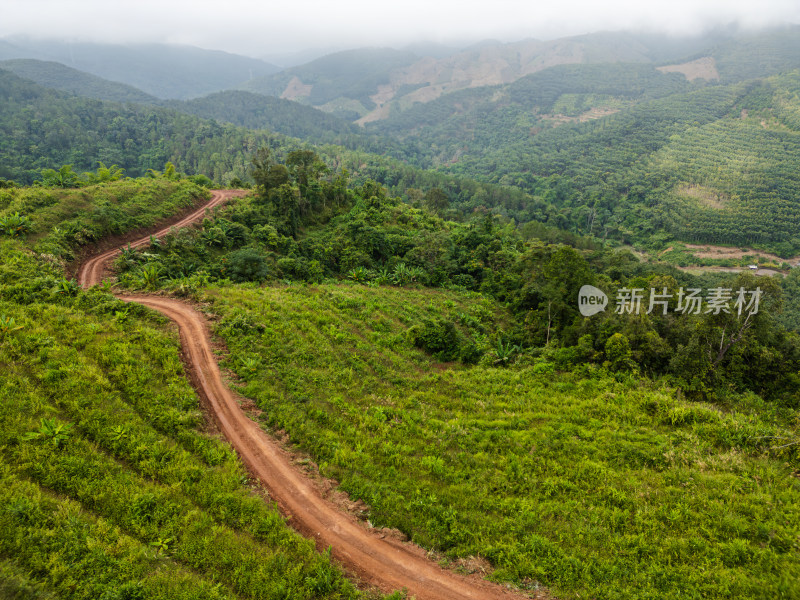 山林间蜿蜒曲折的泥土小路航拍图