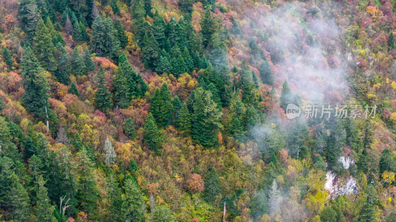 阿坝州黄龙风景名胜区秋色