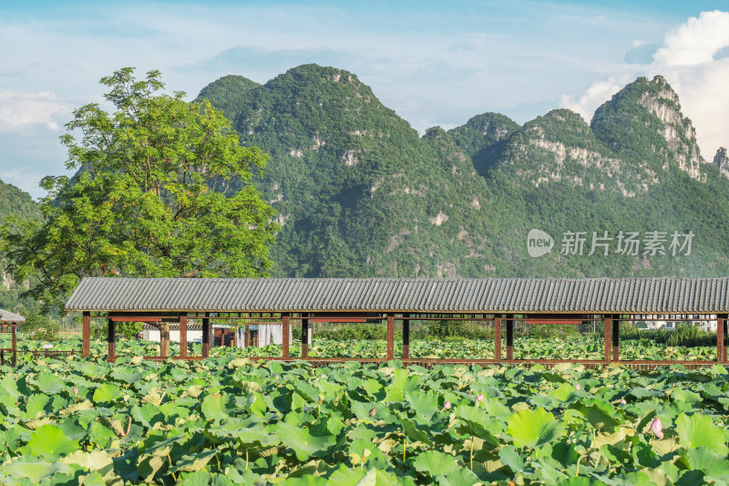 荷叶亭子山峰-广西柳州柳江区百朋荷苑景区