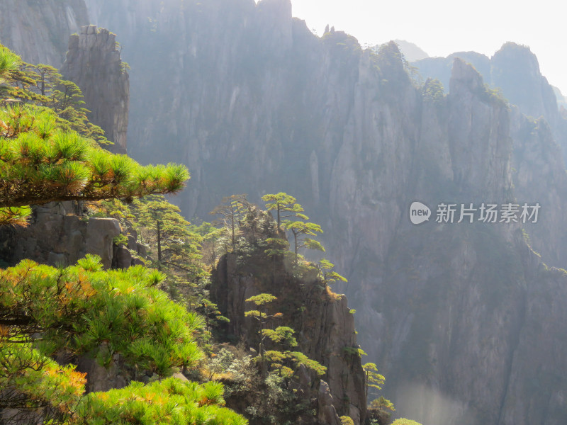 中国安徽黄山旅游风光