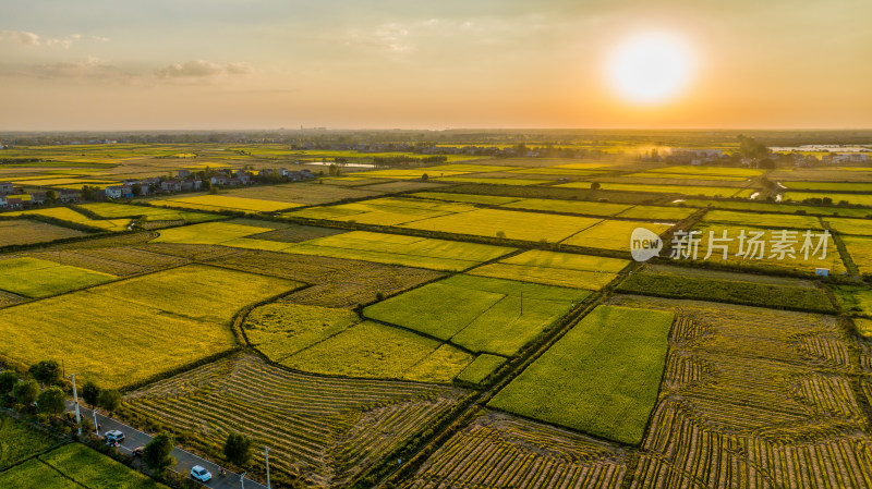 武汉江夏区法泗镇夕阳下的大片稻田
