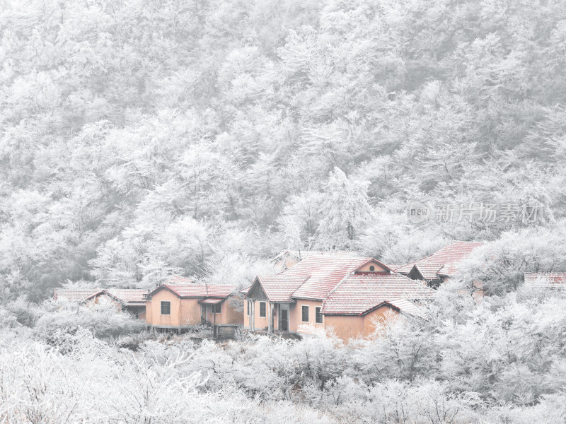 杭州临安浙西天池冬季森林雪后雾凇红色房子