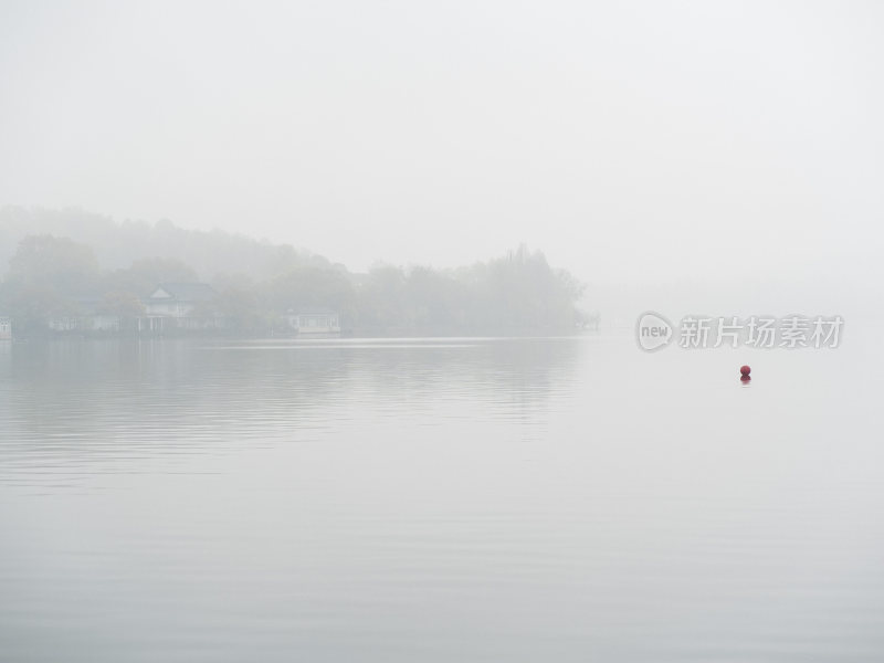 杭州西湖花港观鱼风景