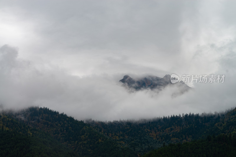 云雾中的森林山峰虎头山