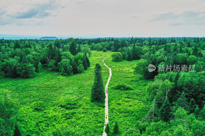 长白山高山花园王池风光