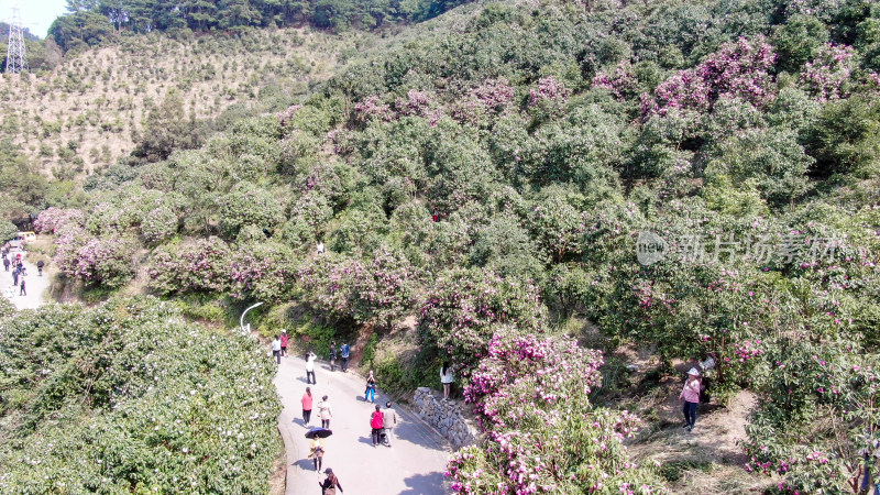 山川丘陵森林河流