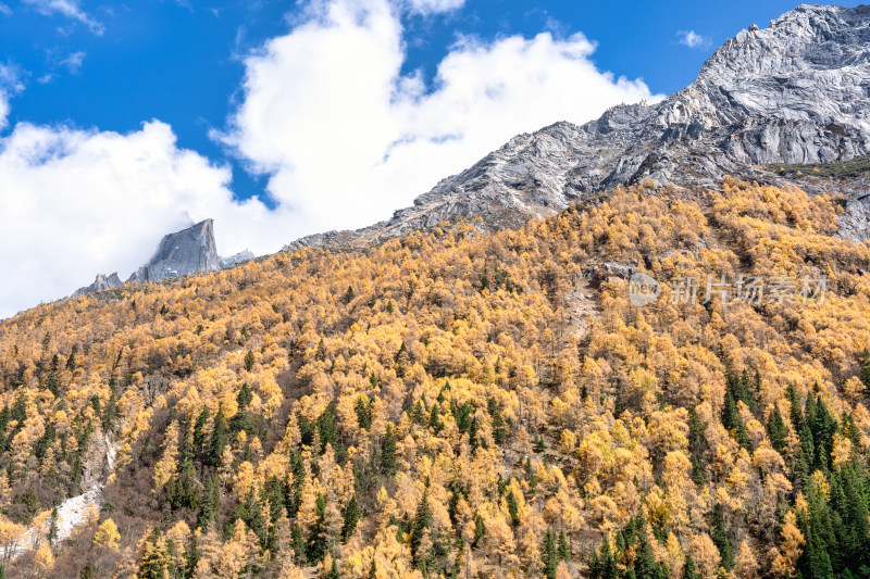 四川四姑娘山景区双桥沟秋天的山峰