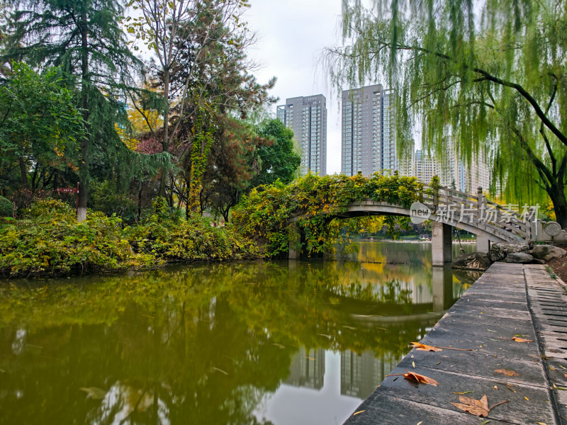 西安丰庆公园秋天风景