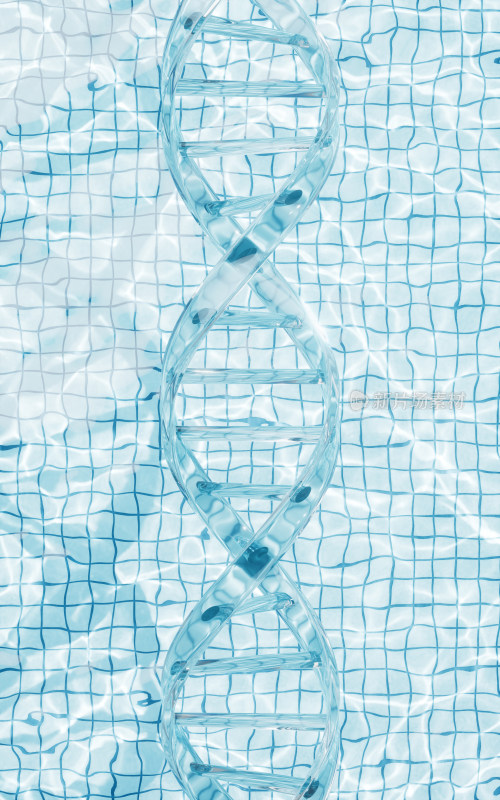 水面与DNA结构3D渲染