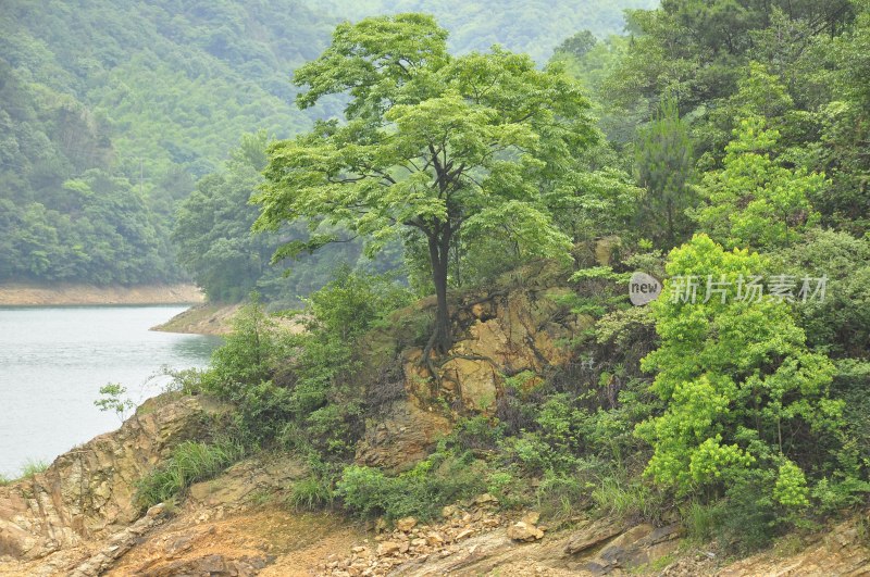 自然风景