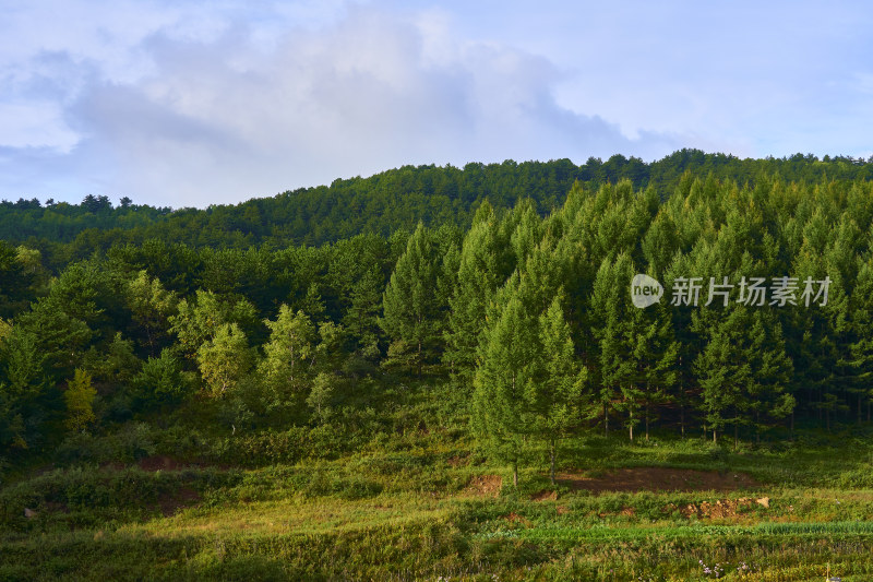 山西长治沁源秋季风光