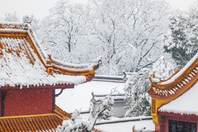 长沙岳麓书院雪景