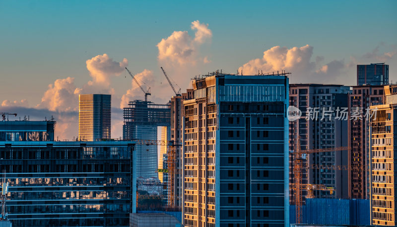 清晨厦门城市建筑