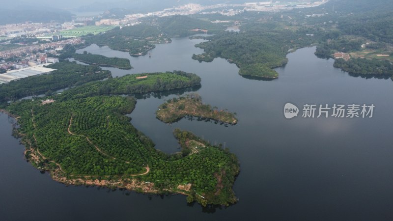 广东东莞：契爷石水库湿地公园