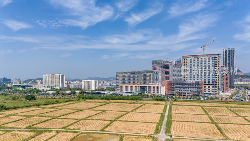 深圳市中山大学附属第七医院