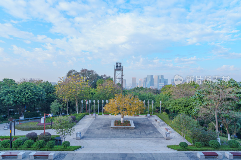 佛山礌岗公园魁星阁眺望城市高楼建筑群