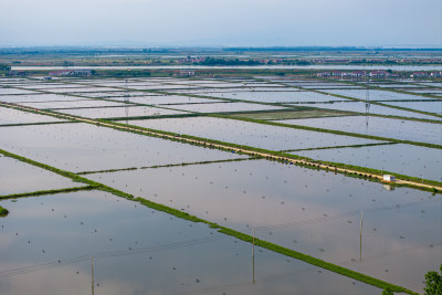 美丽乡村农业水稻种植水产品养殖