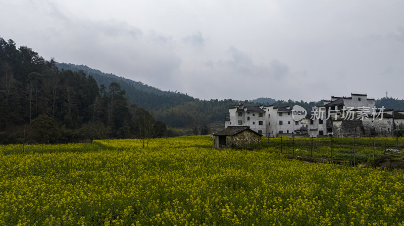 江西婺源思溪延村油菜花航拍