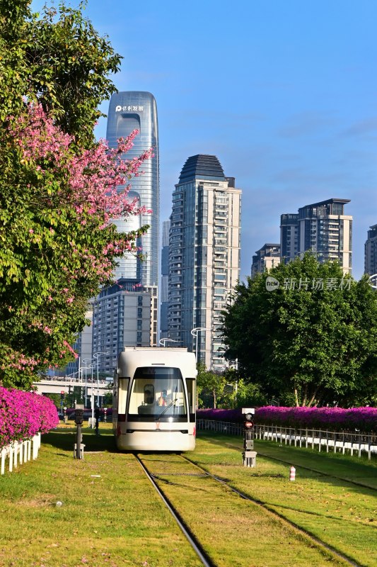 城市有轨电车与高楼景观