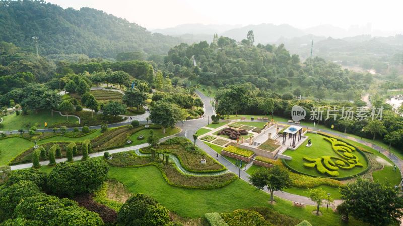 东莞植物园