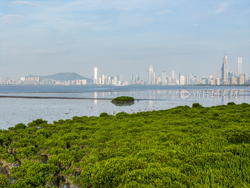 福田红树林自然保护区