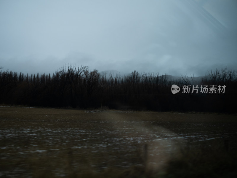 Lake Tekapo蒂卡波湖农场沿路风景