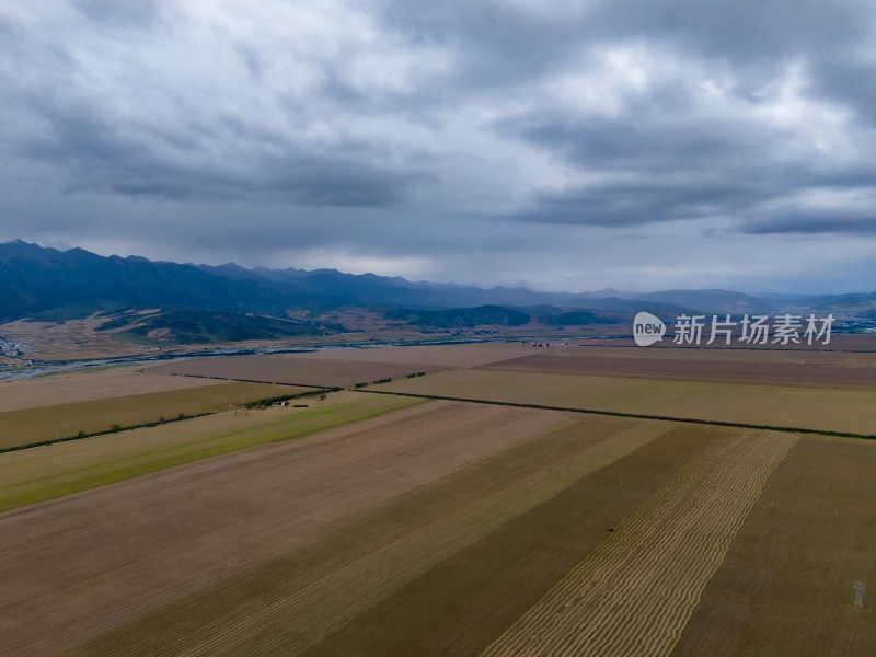 平原农业种植航拍图