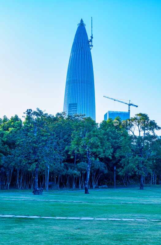 深圳湾公园看春笋华润中心超高层摩天大楼
