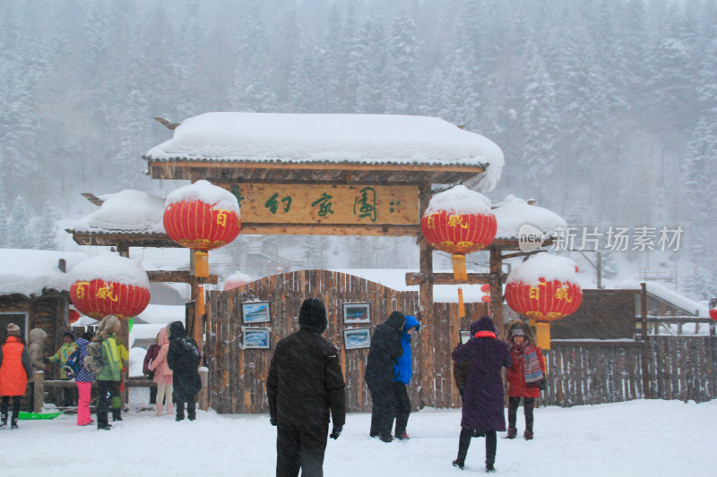 冬天清晨哈尔滨雪乡美丽风光