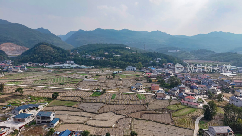 秋收后农田农民种植油菜航拍图