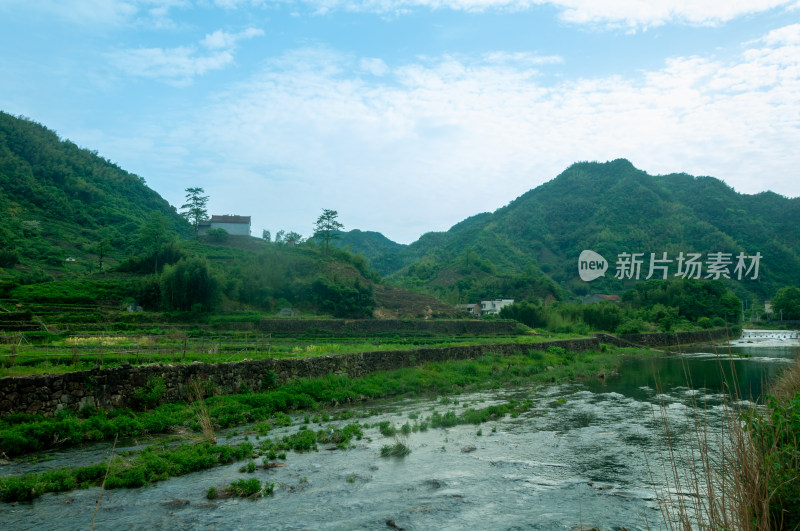 山中的自然风景