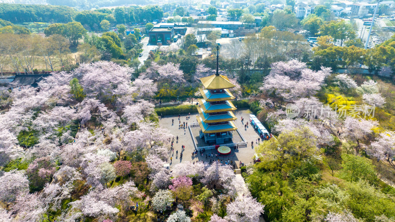 湖北武汉东湖樱花园里的五重塔近景