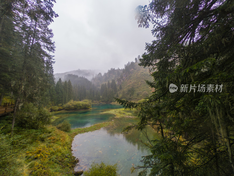 静谧的森林与湖景