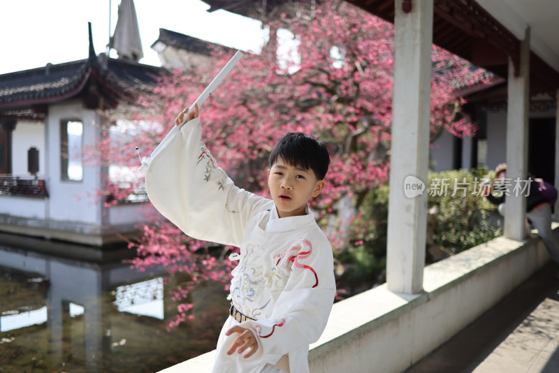 杭州曲院风荷梅花前的汉服儿童肖像