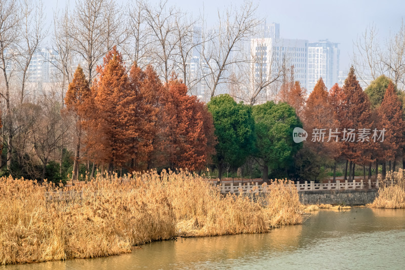 扬州市运河三湾景区户外风景