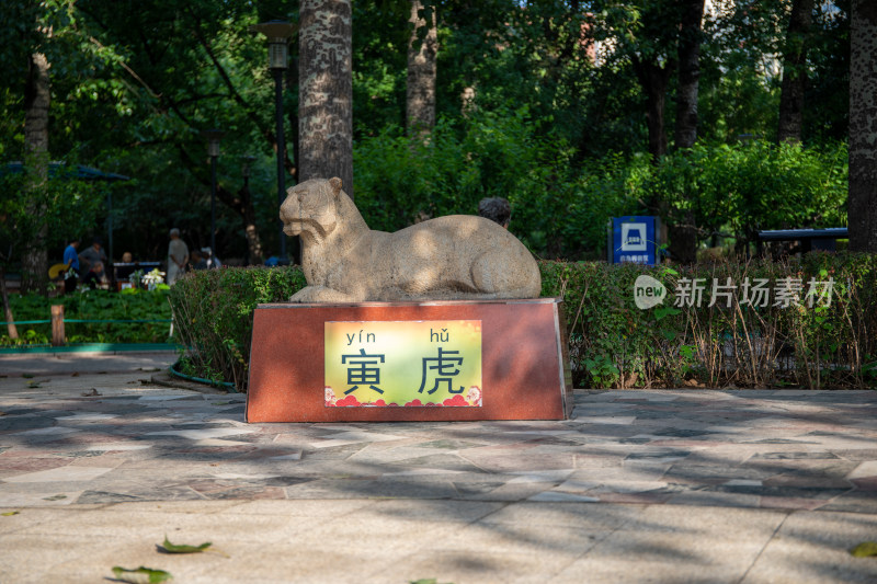 北京红领巾公园