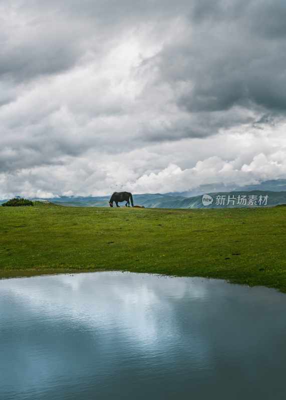 川西塔公草原草原风光蓝天白云自驾旅行