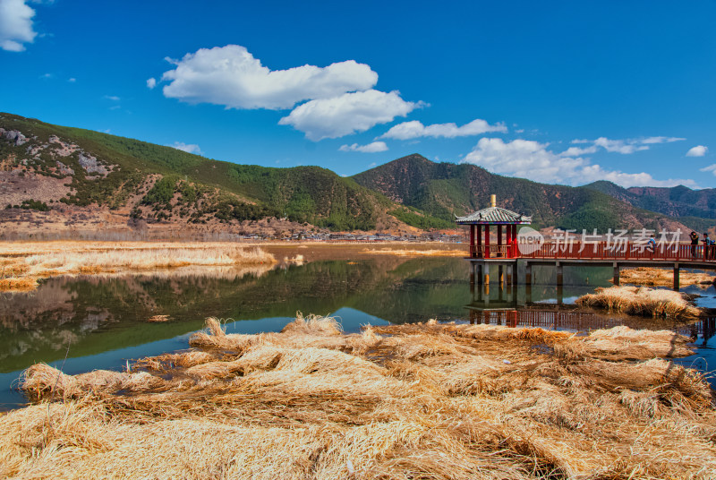 云南泸沽湖草海湖泊芦苇秋景风光