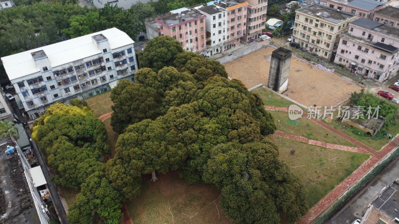 航拍广东省东莞市清溪镇城市风光